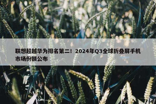 联想超越华为排名第二！2024年Q3全球折叠屏手机市场份额公布