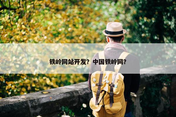 铁岭网站开发？中国铁岭网？