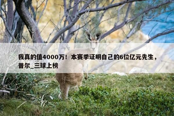 我真的值4000万！本赛季证明自己的6位亿元先生，普尔_三球上榜