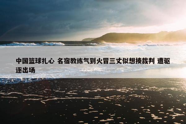 中国篮球扎心 名宿教练气到火冒三丈似想揍裁判 遭驱逐出场