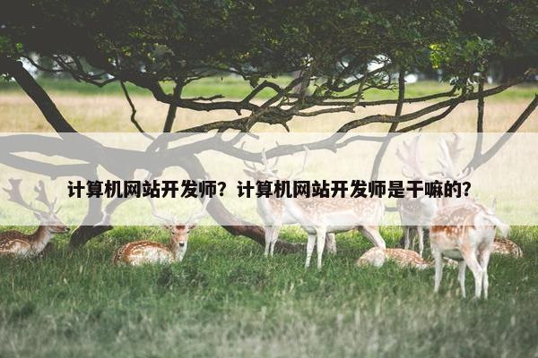 计算机网站开发师？计算机网站开发师是干嘛的？