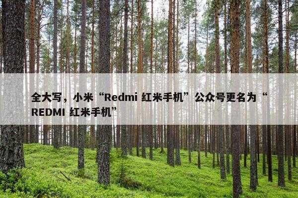 全大写，小米“Redmi 红米手机”公众号更名为“REDMI 红米手机”