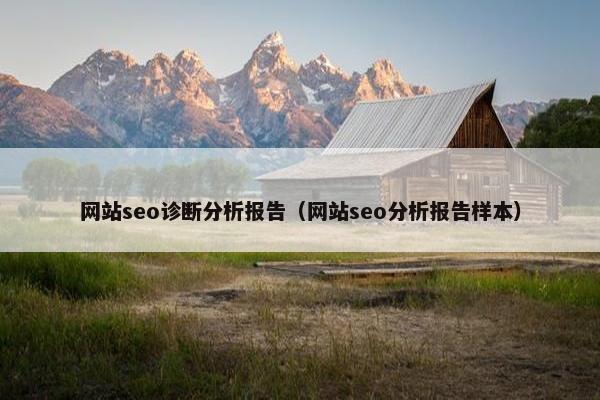 网站seo诊断分析报告（网站seo分析报告样本）