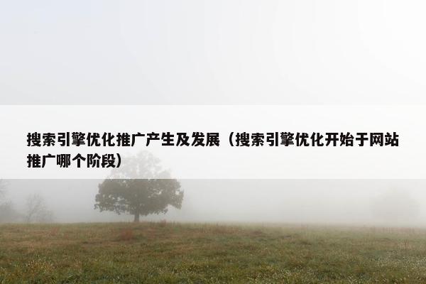 搜索引擎优化推广产生及发展（搜索引擎优化开始于网站推广哪个阶段）