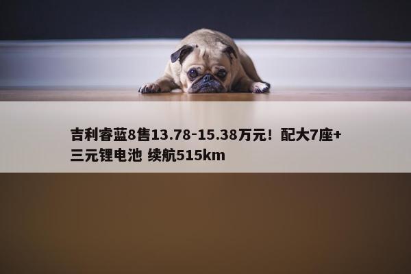 吉利睿蓝8售13.78-15.38万元！配大7座+三元锂电池 续航515km