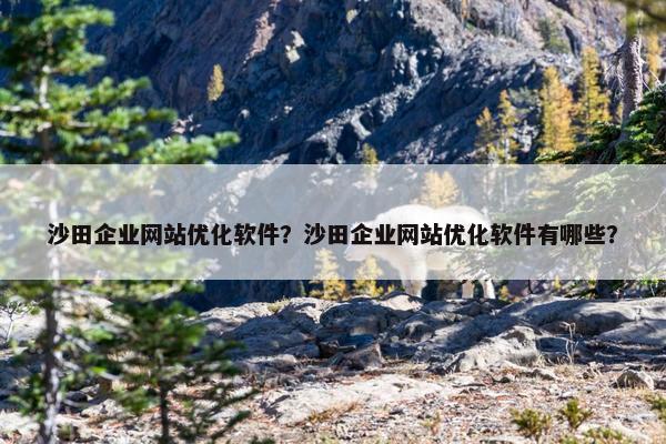 沙田企业网站优化软件？沙田企业网站优化软件有哪些？