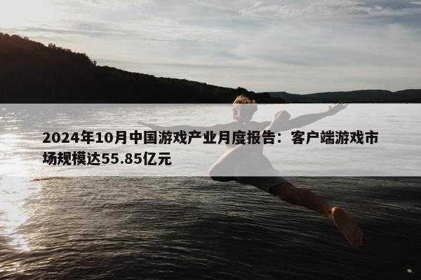 2024年10月中国游戏产业月度报告：客户端游戏市场规模达55.85亿元