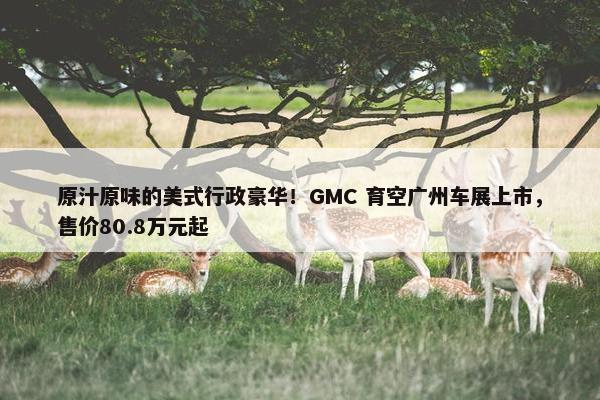 原汁原味的美式行政豪华！GMC 育空广州车展上市，售价80.8万元起