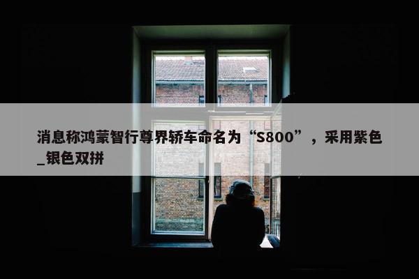 消息称鸿蒙智行尊界轿车命名为“S800”，采用紫色_银色双拼