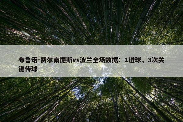 布鲁诺-费尔南德斯vs波兰全场数据：1进球，3次关键传球