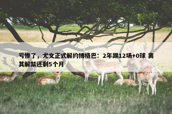 亏惨了，尤文正式解约博格巴：2年踢12场+0球 离其解禁还剩5个月