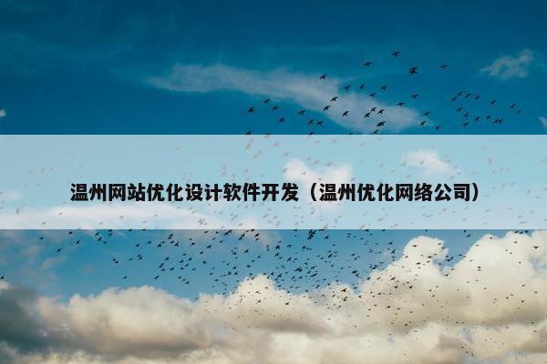 温州网站优化设计软件开发（温州优化网络公司）