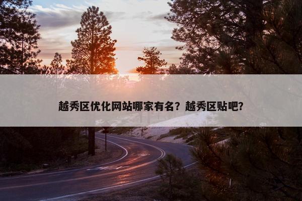 越秀区优化网站哪家有名？越秀区贴吧？