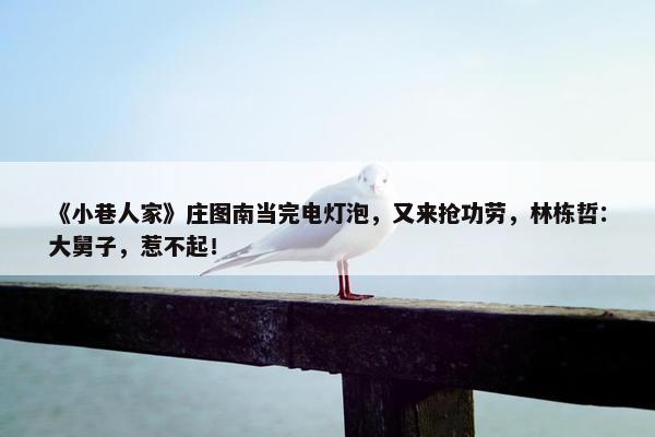 《小巷人家》庄图南当完电灯泡，又来抢功劳，林栋哲：大舅子，惹不起！