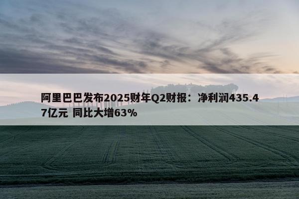 阿里巴巴发布2025财年Q2财报：净利润435.47亿元 同比大增63%