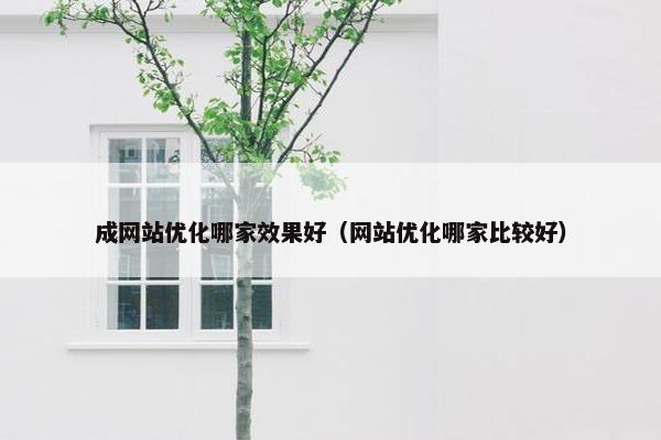 成网站优化哪家效果好（网站优化哪家比较好）