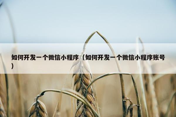 如何开发一个微信小程序（如何开发一个微信小程序账号）