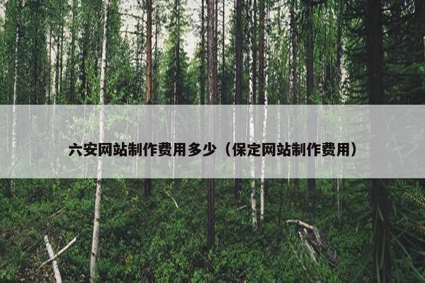 六安网站制作费用多少（保定网站制作费用）