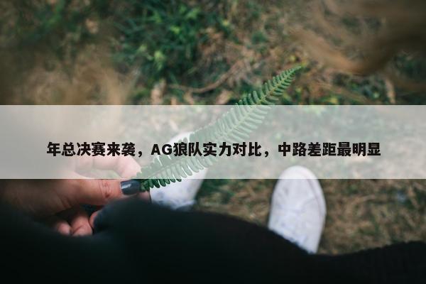 年总决赛来袭，AG狼队实力对比，中路差距最明显