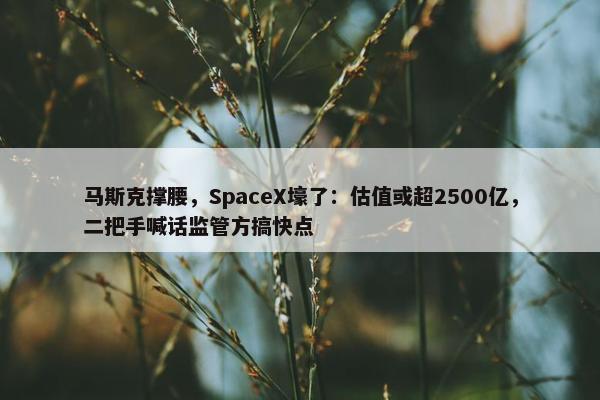 马斯克撑腰，SpaceX壕了：估值或超2500亿，二把手喊话监管方搞快点