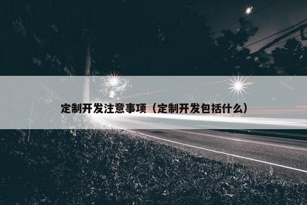 定制开发注意事项（定制开发包括什么）