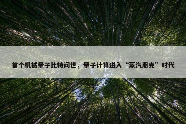 首个机械量子比特问世，量子计算进入“蒸汽朋克”时代