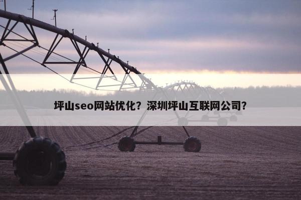 坪山seo网站优化？深圳坪山互联网公司？