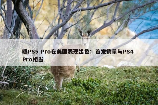 曝PS5 Pro在美国表现出色：首发销量与PS4 Pro相当