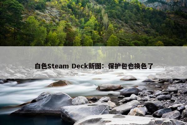 白色Steam Deck新图：保护包也换色了