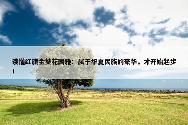 读懂红旗金葵花国雅：属于华夏民族的豪华，才开始起步！