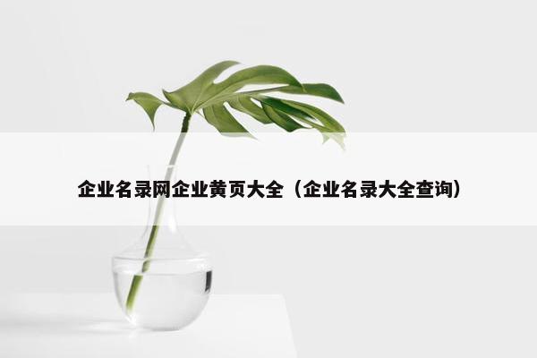 企业名录网企业黄页大全（企业名录大全查询）