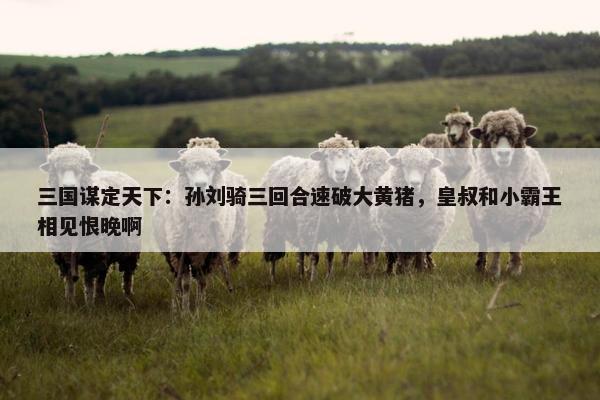 三国谋定天下：孙刘骑三回合速破大黄猪，皇叔和小霸王相见恨晚啊