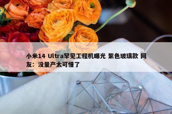 小米14 Ultra罕见工程机曝光 紫色玻璃款 网友：没量产太可惜了