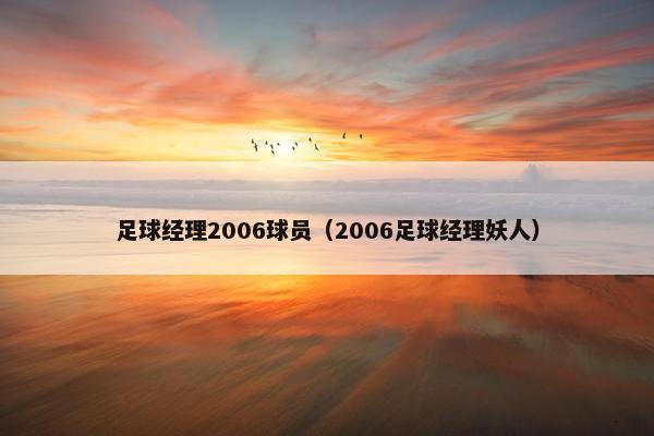 足球经理2006球员（2006足球经理妖人）