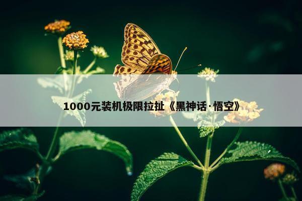 1000元装机极限拉扯《黑神话·悟空》