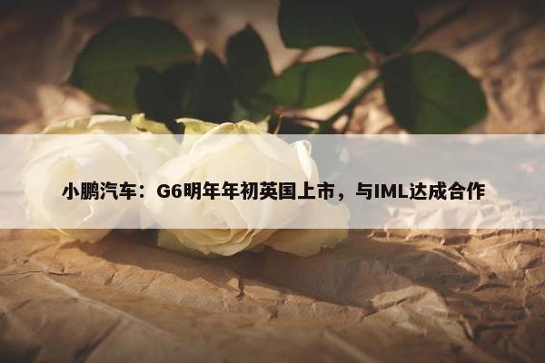 小鹏汽车：G6明年年初英国上市，与IML达成合作