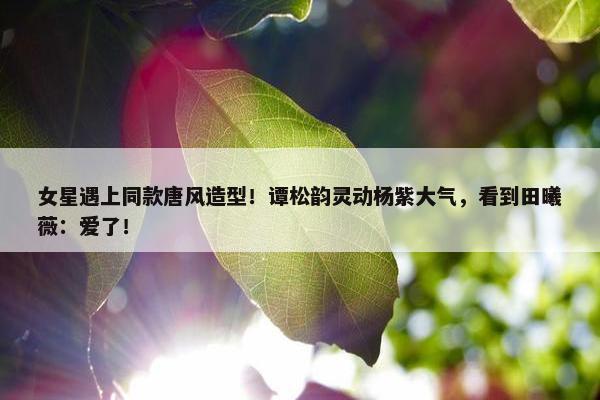 女星遇上同款唐风造型！谭松韵灵动杨紫大气，看到田曦薇：爱了！