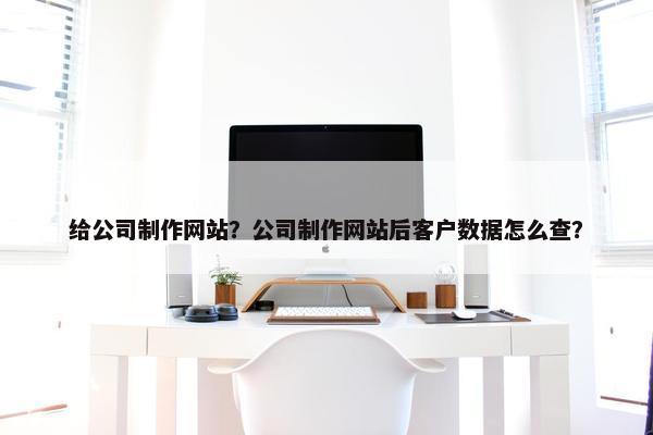 给公司制作网站？公司制作网站后客户数据怎么查？