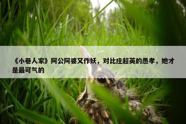 《小巷人家》阿公阿婆又作妖，对比庄超英的愚孝，她才是最可气的