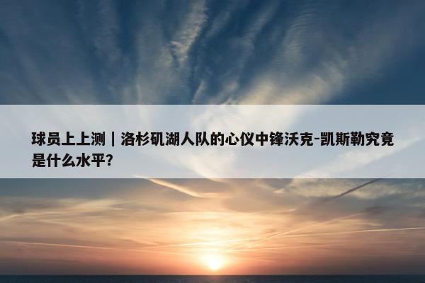 球员上上测｜洛杉矶湖人队的心仪中锋沃克-凯斯勒究竟是什么水平？