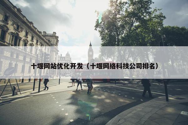 十堰网站优化开发（十堰网络科技公司排名）