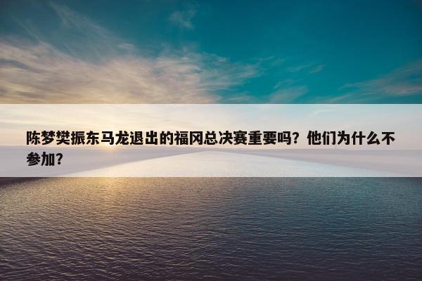 陈梦樊振东马龙退出的福冈总决赛重要吗？他们为什么不参加？