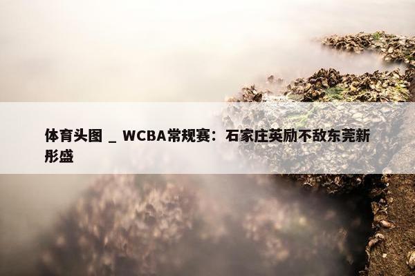 体育头图 _ WCBA常规赛：石家庄英励不敌东莞新彤盛