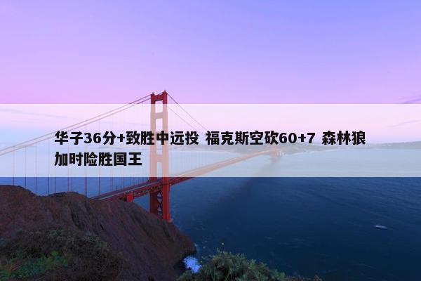 华子36分+致胜中远投 福克斯空砍60+7 森林狼加时险胜国王