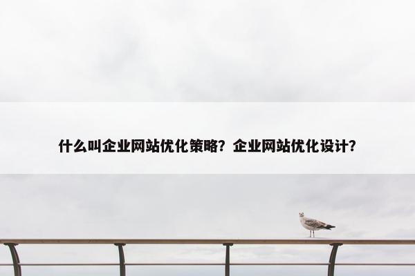 什么叫企业网站优化策略？企业网站优化设计？