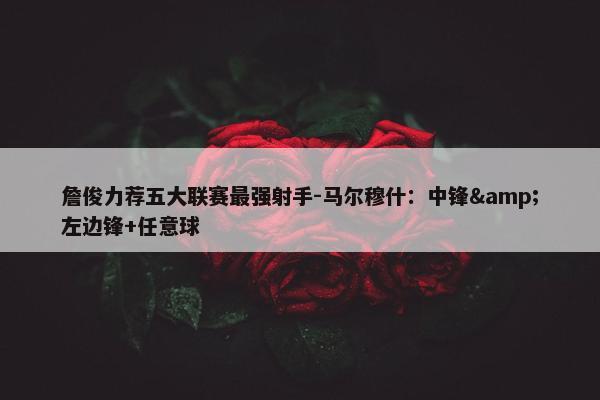 詹俊力荐五大联赛最强射手-马尔穆什：中锋&左边锋+任意球