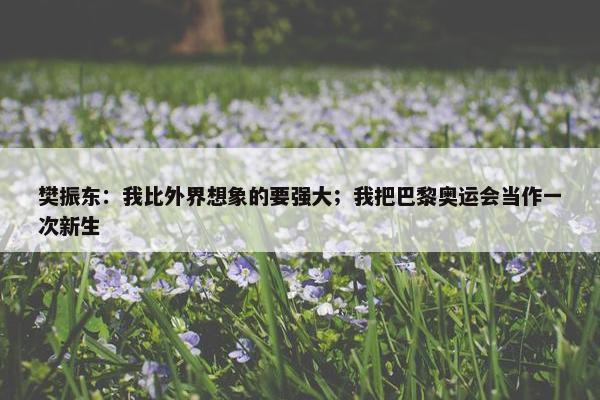 樊振东：我比外界想象的要强大；我把巴黎奥运会当作一次新生