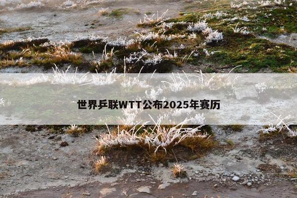 世界乒联WTT公布2025年赛历