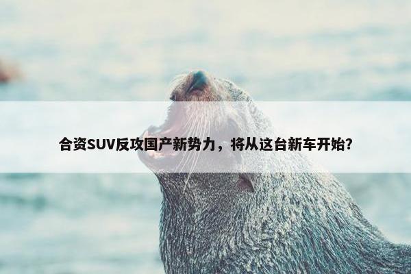 合资SUV反攻国产新势力，将从这台新车开始？