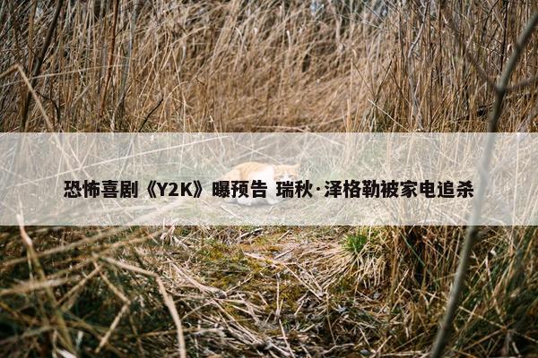 恐怖喜剧《Y2K》曝预告 瑞秋·泽格勒被家电追杀